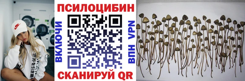 сколько стоит  Владивосток  KRAKEN tor  Галлюциногенные грибы Psilocybine cubensis 