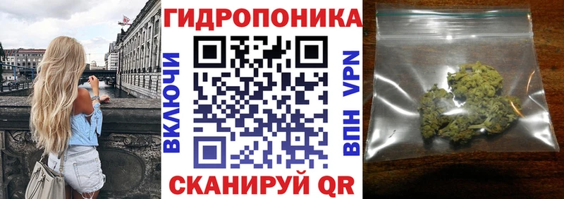 Конопля планчик  сколько стоит  Владивосток 